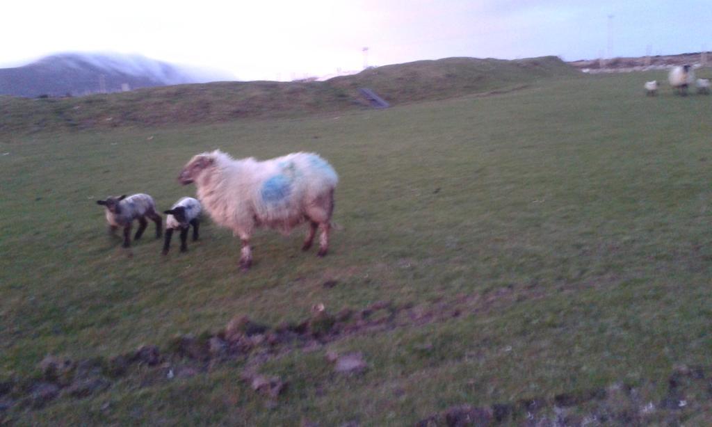 Achill West Coast House Bed & Breakfast Dooagh ภายนอก รูปภาพ