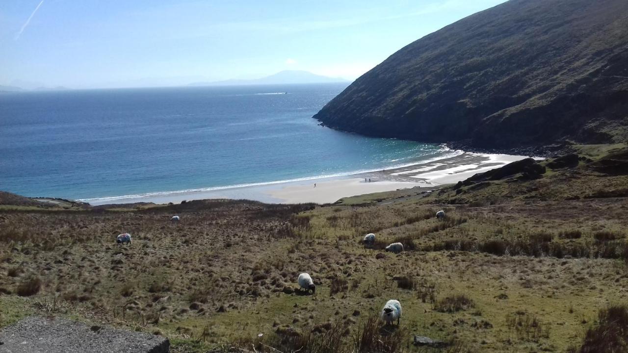Achill West Coast House Bed & Breakfast Dooagh ภายนอก รูปภาพ